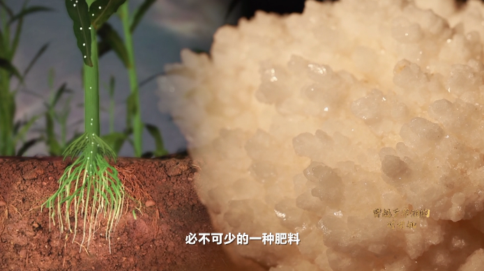 钾矿最新动态，矿石奇缘揭秘最新消息