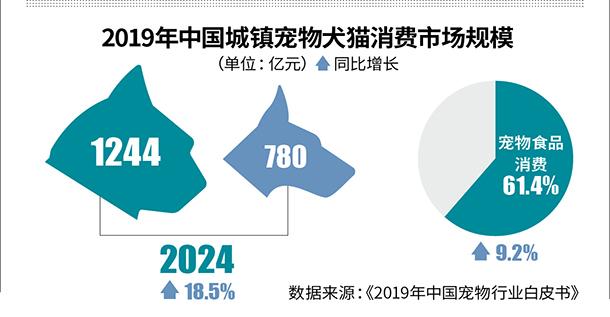 潮流变迁与影响下的男生最新网名趋势 2024年精选