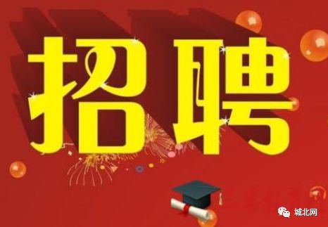 盖北最新招聘，科技革新引领未来招聘新潮