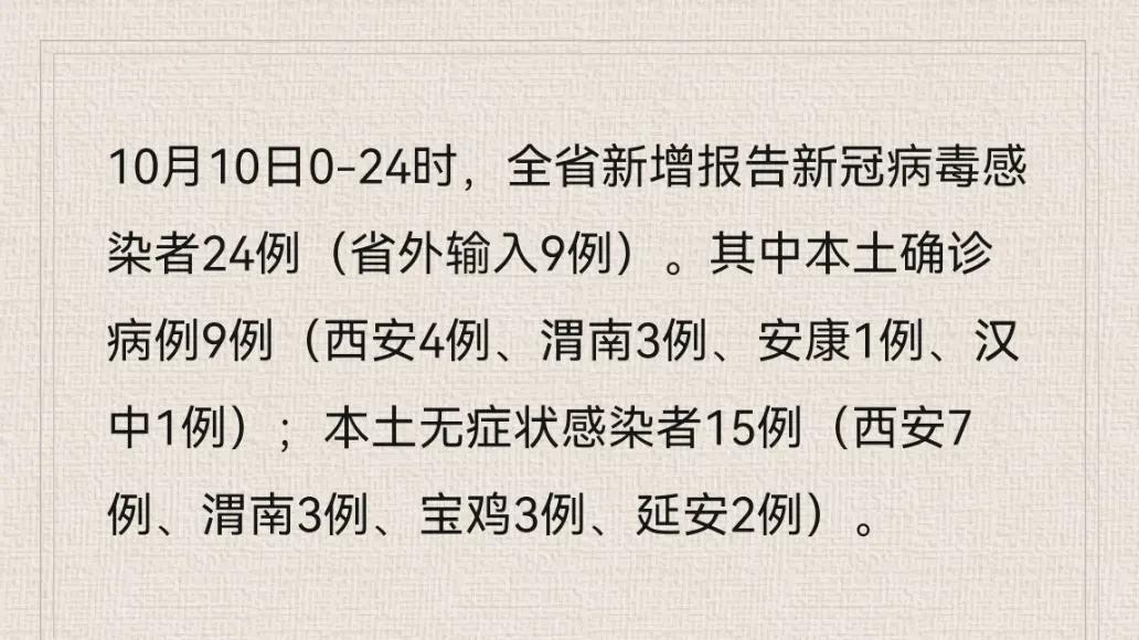 陕西最新输入病例情况与巷弄深处的独特风情及隐藏特色小店探索