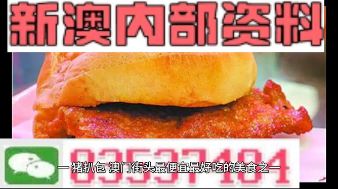 2024新澳门正版精准免费大全,现代化解析定义_先锋版33.905
