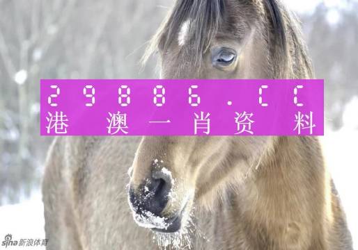 澳门一码一码100准确,专家权威解答_经典版81.496