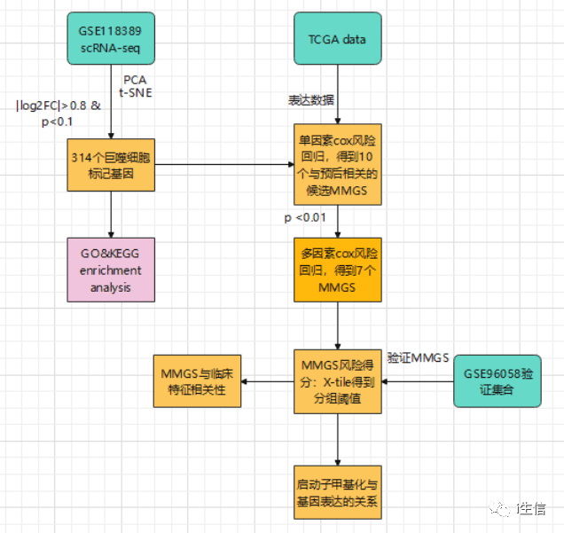 澳门一码一肖一特一中直播结果,现象分析定义_艺术版17.871