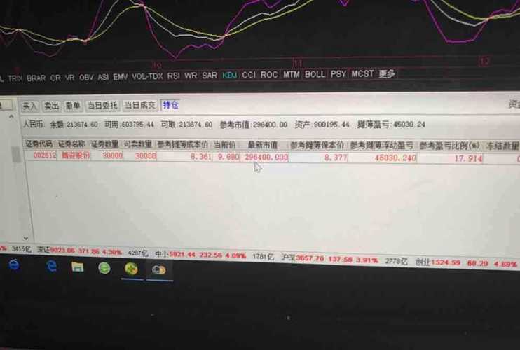 朗姿股份股票股吧，心灵与自然的奇妙之旅