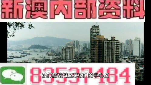 ＂新澳门免费精准大全＂的：解析解释说法_儿童版8.6