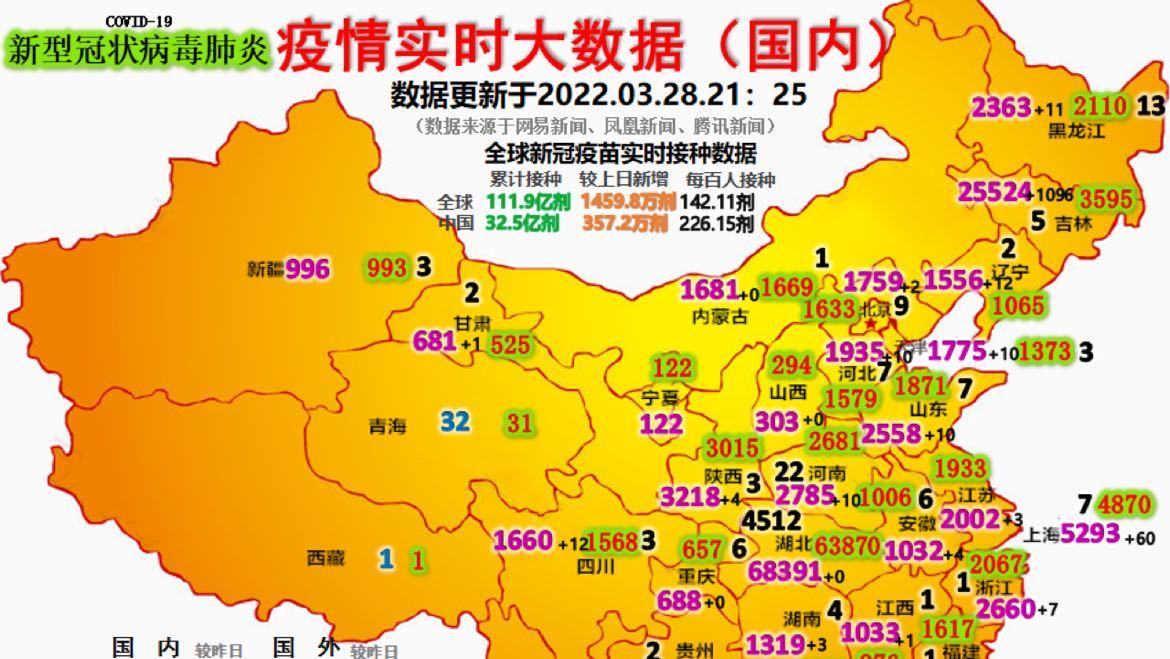 最新疫情动态详解，初学者与进阶用户的步骤指南