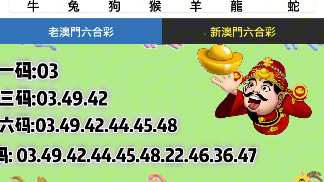 新澳门六2004开奖记录,实地验证研究方案_旅行者版95.721