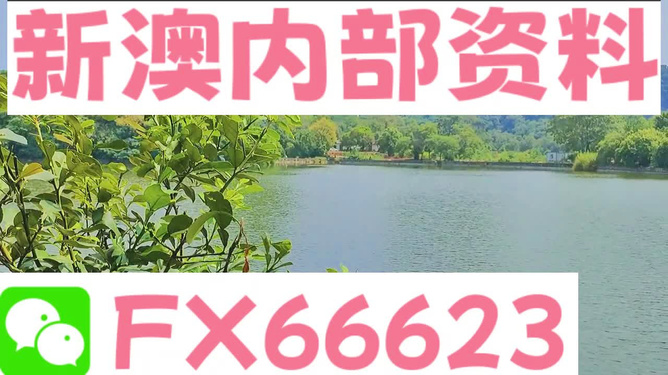 ＂新澳精准资料免费提供网站＂的：实地数据验证_私人版1.81